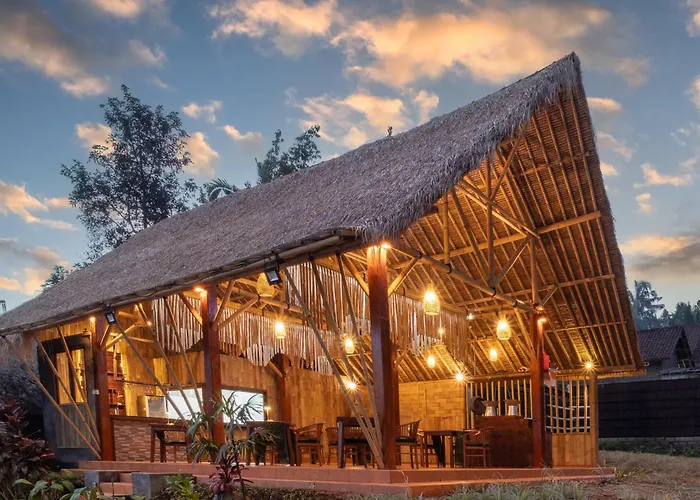 Anima Resort 3*
